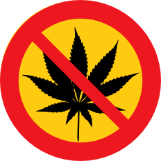 Zkaz marihuany